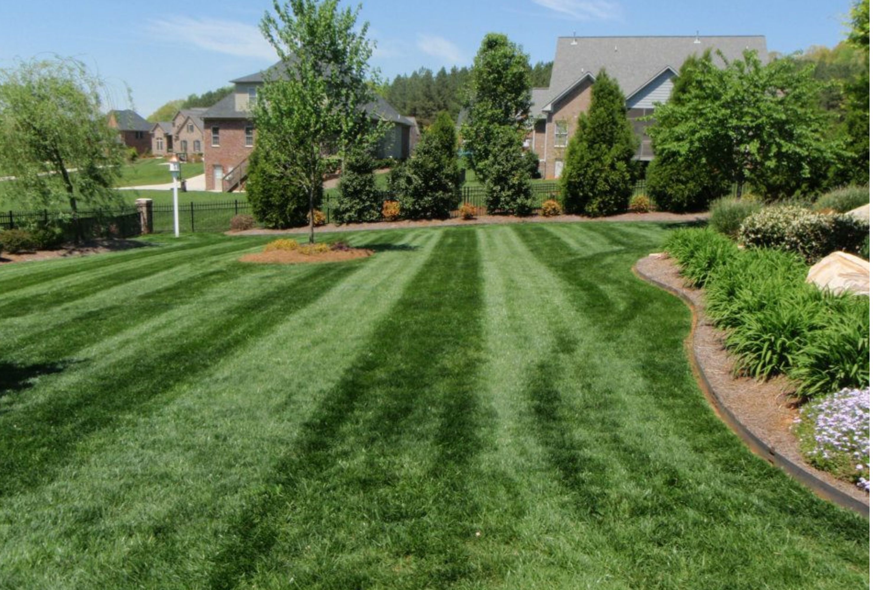 Manicured commercial lawn