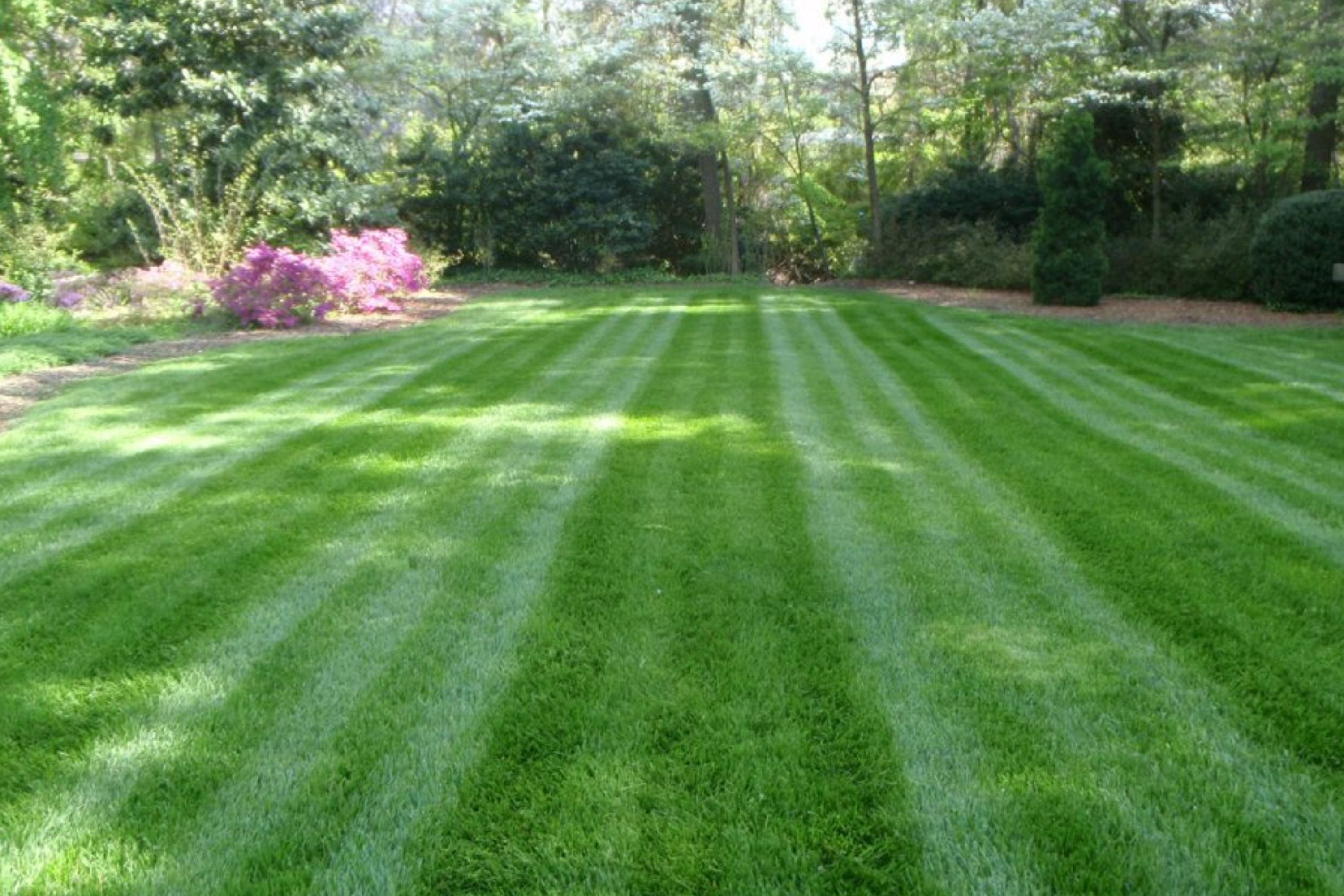 Detailed lawn and bed maintenance